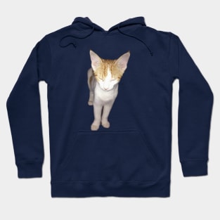 Kitty Zen Mode Hoodie